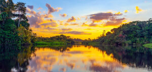 Magic,Sunset,In,The,Amazon,Rainforest,,Yasuni,National,Park.,The
