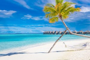 Tropical,Beach,Background,As,Summer,Landscape,With,Beach,Swing,Or