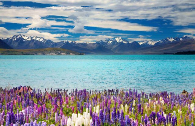 australie_novy-zeland_5menší