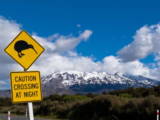 Kiwi Crossing road sign and volcano Ruapehu in NZ