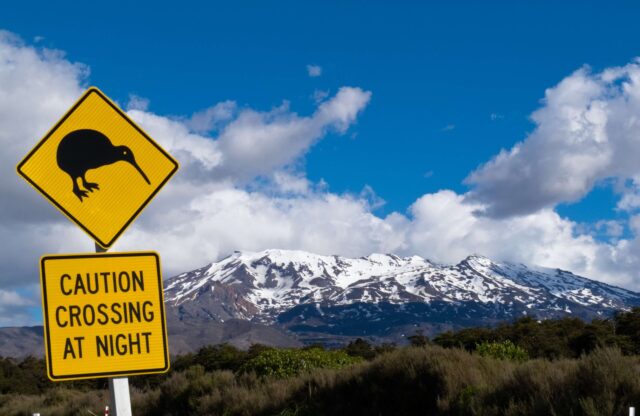 Kiwi Crossing road sign and volcano Ruapehu in NZ