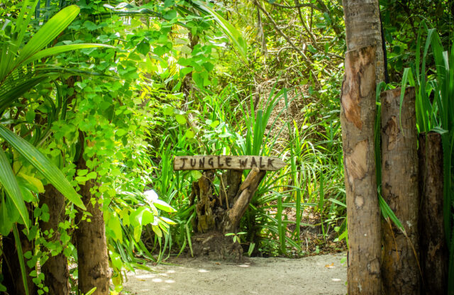 Dhigali Maldives