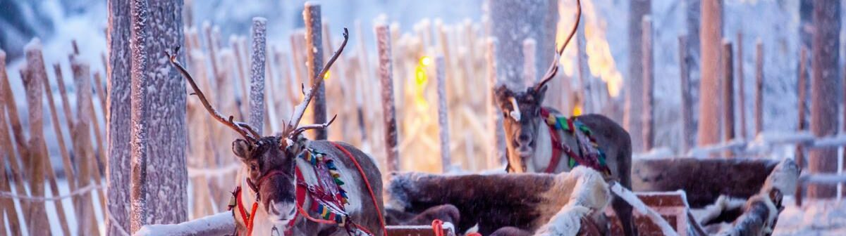 Finsko_Rovaniemi – sobi (1)