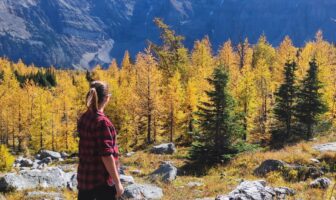 WhatsApp Image 2024-12-03 at 15.19.04