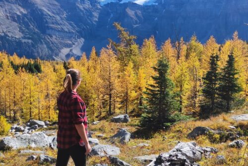 WhatsApp Image 2024-12-03 at 15.19.04