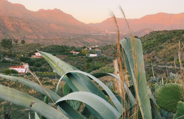 reiseuhu-H3YCtxOcuIo-unsplash